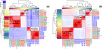 Genomics reveals the novel species placement of industrial contaminant isolates incorrectly identified as Burkholderia lata